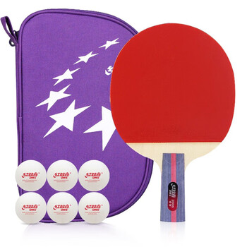 红双喜二星训练成品拍升级版直拍H2006双面反胶乒乓球拍含拍包乒乓球