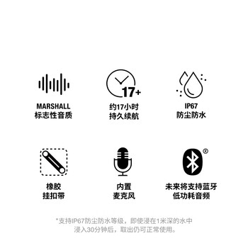 Marshall（马歇尔）WILLEN II 音箱便携式2代无线蓝牙家用户外防尘防水续航节日礼物小音响  黑金色