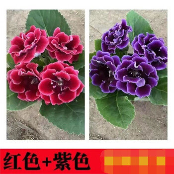 張大千 芙蓉花卉 At Auction: 張大千（1899-1983）, 張大千 花卉