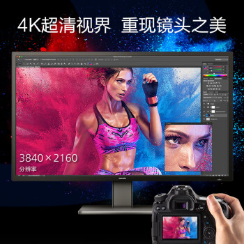 飞利浦（PHILIPS）43英寸办公显示器 4K VA屏 10bit 126%sRGB HDR400 Type-C90W供电 内置音箱 电脑显示屏 439P1
