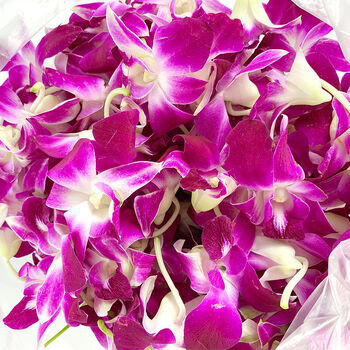山海言老农夫 新鲜杨兰花荷兰芹组合 香芹菜洋兰花火锅酒店西餐摆 洋兰花250g【顺丰】【图片 价格 品牌 报价】-京东