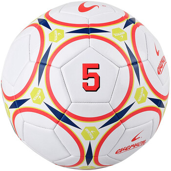 EVERVON 足球儿童成人训练标准 耐磨机缝足球 5号PVC足球 EFP5-883