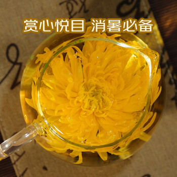 菊芝韵菊花茶 30朵金丝皇菊27g 0添加无硫熏 茶叶一朵一杯 菊芝韵菊花茶 30朵金丝皇菊27g 0添加无硫熏 茶叶一朵一杯