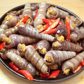 钉螺鲜活去尾免处理新鲜海螺丝钉螺海鲜水产海锥螺丁螺 福茹洲 去尾