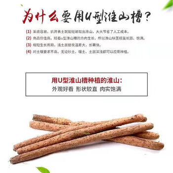 山药u型槽塑料浅生种植淮山种植神器山药生长引导器定制蓝色