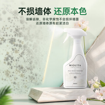 魅她（MIOLTTA）墙体除霉剂 墙面白墙去霉点霉斑霉菌清除剂 墙壁卫生间防霉除霉味