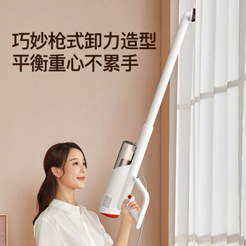 德尔玛（Deerma）吸尘器家用立式手持有线小型强力吸尘器DX300  地毯吸尘器宠物 大吸力吸尘器