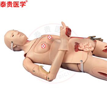 泰贵医学 全功能创伤护理人模型 野战基础伤情模拟人 23部件导尿止血包扎固定搬运外科急救训练假人 TG/CS15