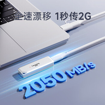 梵想（FANXIANG）500GB 移动固态硬盘（PSSD）Type-C USB3.2高速传输2050MB/s 手机直连笔记本电脑外接硬盘 PS2300