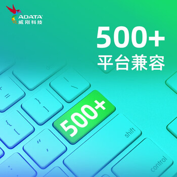 威刚（ADATA）512GB SSD固态硬盘 SATA3.0接口 SU650