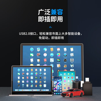 梵想（FANXIANG）32GB U盘 USB2.0 专业招标投标小u盘 迷你便携 即插即用 企业竞标车载电脑通用金属优盘F202-2黑色