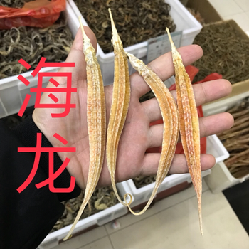 伟博广东野生刁海龙 大海龙干货 六角海龙泡酒煲汤10克一对 海龙一对