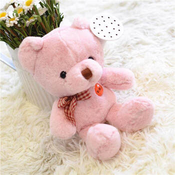 小号娃娃毛绒公仔网红泰迪熊紫色绿粉色frj小熊玩偶女孩玩具浅粉色
