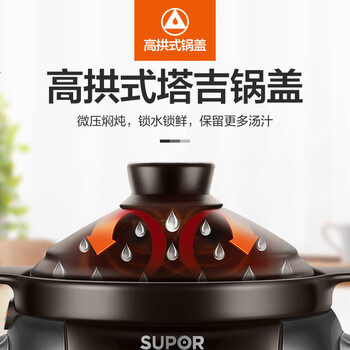 苏泊尔（SUPOR） 电炖锅 电炖盅 煲汤锅炖汤锅 燕窝炖盅 煮粥锅 婴儿熬粥专用锅 电煮锅 3L炽陶TG30YC5 SZAS