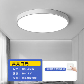 小米科技LED米家智能小爱同学精灵吸顶灯简约现代卧室客厅过 纤元白40CM48W高光【图片 价格 品牌 报价】-京东