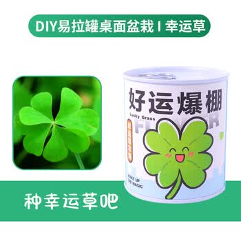 Touch Fish罐装小盆栽桌面种植易拉罐头植物小学生科学实验礼物奖品好运爆棚（幸运草）亲子DIY