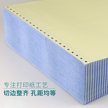 天章 （TANGO）新绿天章打印纸 二联整张针式打印纸 不撕边电脑打印纸 出入库送货单1000页 241-2(全白)