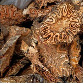 龙骨风大贯众飞天蠄蟧擒罗煲汤料500克