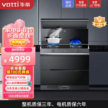 华帝（VATTI） 集成灶一体灶 家用保洁柜  17m³/min超大吸力 4.6kW双大气灶  烟灶套装 i3020G天然气