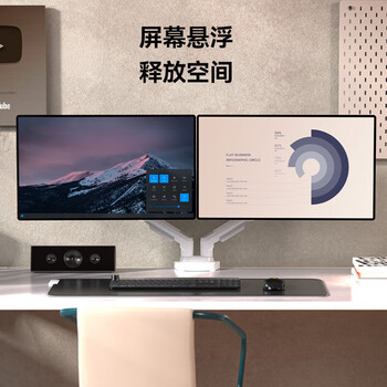 NB ERGONOMIC双屏显示器支架 电脑显示器支架臂双屏幕 电脑支架台式 显示器增高架 电脑支架台式双屏F160-W