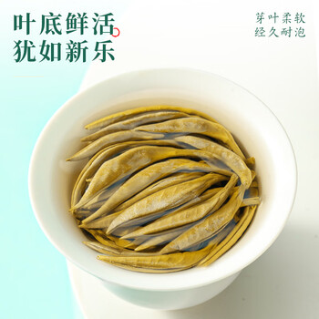 七春白毫银针 250g白茶罐装散茶叶可泡陈皮自喝特产地级父亲节送长辈