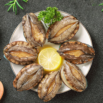 生鲜新鲜鲍鱼大个小鲍鱼鲜冻贝类海鲜水产2斤装