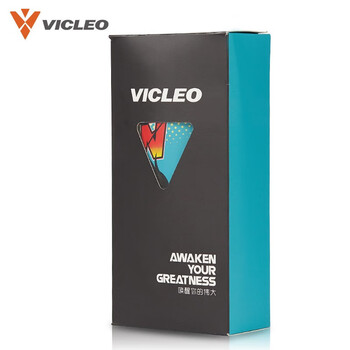 维克利奥VICLEO 足球护腿板儿童卡通护小腿板护具一对装V820217湖蓝S码