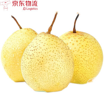 雪花梨 河北赵县雪梨水果新鲜雪花梨5/10斤冰糖雪梨 8斤装