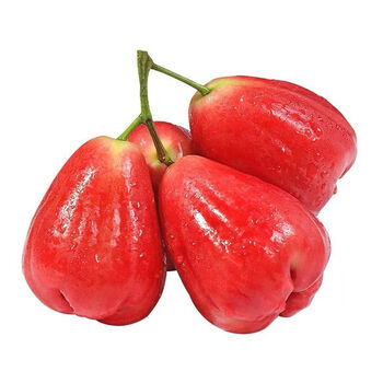 海南莲雾红宝石当季新鲜热带水果黑珍珠莲雾果整箱三亚特产雾莲果 3斤