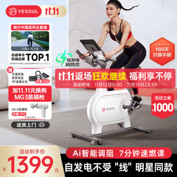 野小兽（YESOUL）自发电动感单车家用智能调阻室内自行车静音磁控运动锻炼健身器材 自发电旗舰版+智能调阻+骑行中国主题课