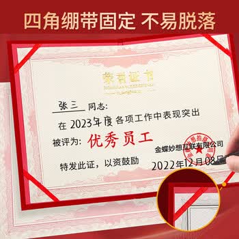 洧宜6K荣誉证书外壳可定制高档颁奖证书奖状企业优秀员工表彰获奖证书 10本装【20页内芯+打印模板】