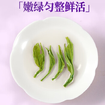 七春茉莉花茶龙珠茶叶特级自己喝茉莉绿茶毕业季送老师礼物礼品250g