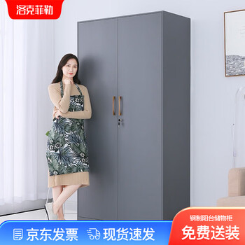 洛克菲勒铁皮衣柜阳台柜杂物柜储物柜带锁内部五层皮纹高2000宽1000深500