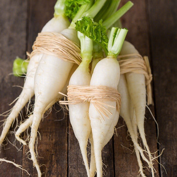 寿禾 兰溪小萝卜种泡菜迷你手指萝卜腌制用白萝卜樱桃蔬菜种孑 兰溪小