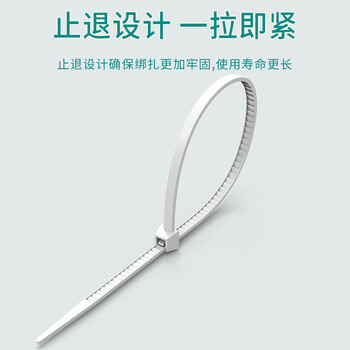 泰盟（TIMON）尼龙扎带 自锁式小号束线带捆扎带绑带 园林电脑装机桌面理线带 白色 TM-BS3.6*250mm 约100根/包