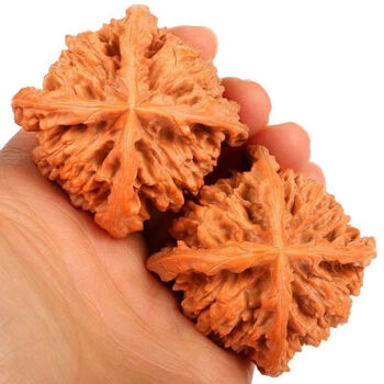 聆梦四棱文玩核桃拼接定型非老师傅制作配刷子43左右四棱