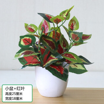 精选 仿真花草植物假绿植室内外装饰绿萝塑料小盆栽家居桌面红掌花摆件小盆红叶 图片价格品牌报价 京东