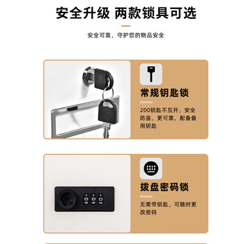 丰龙矮柜档案资料办公家用文件柜带锁储物铁皮抽屉柜850高二斗一门 丰龙矮柜档案资料办公家用文件柜带锁储物铁皮抽屉柜850高二斗一门