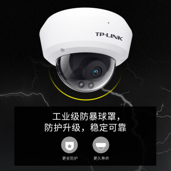 TP-LINK POE供电控摄像头400万像素室内家用防暴拾音半球监控器高清网络摄像机可插内存卡TL-IPC443MP-2.8