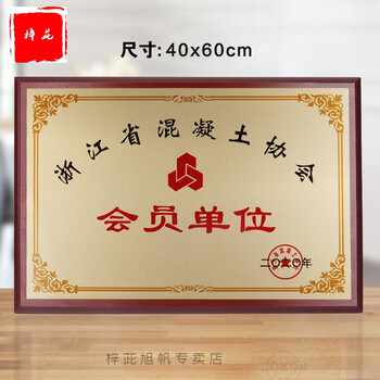 三等功奖章金箔奖牌定制定做牌匾木质授权牌荣誉牌代理证书铜牌挂牌
