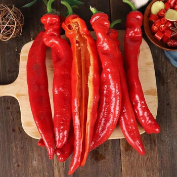 大红尖椒红辣椒农家批发虎皮红椒剁椒辣椒酱 3斤红尖椒 中辣