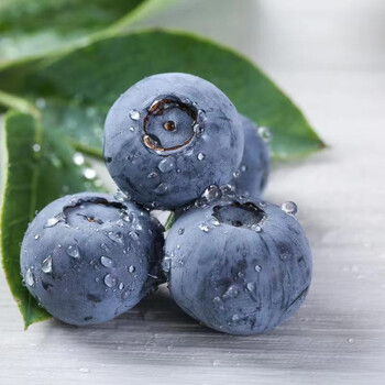 【京鲜达】云南新鲜蓝莓优选天然大果 当季新鲜高山云南蓝莓宝宝孕妇