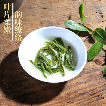 徽六茶叶绿茶六安瓜片潜香5000罐装150g