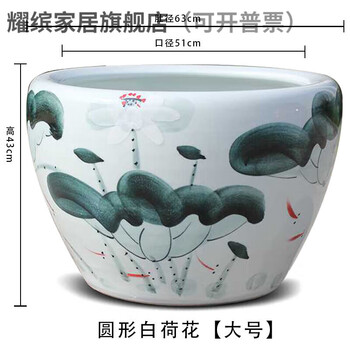 水缸养金鱼- 京东