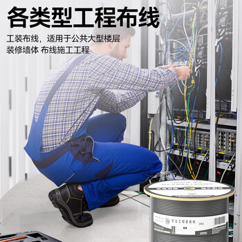 山泽超五类屏蔽网线【0.5±0.008mm纯铜线芯】CAT5e千兆工程抗干扰网络监控安防布线305米 FTP-305A