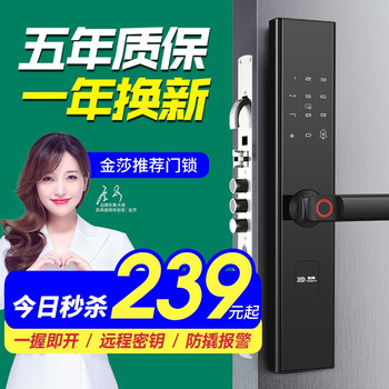 英典 K2s 指纹锁密码锁智能门锁电子锁家用防盗门智能门推拉式标准锁体霸王锁体 经典版-3年质保(五合一开锁)指导安装 配电池/锁体/IC卡/十年维护