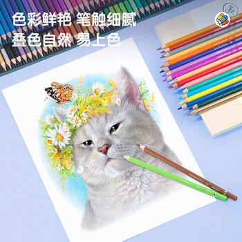 得力（deli）72色油性彩色铅笔高显色美术设计专业绘画笔彩铅入门填色彩笔铁盒套装礼物6568