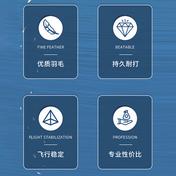 薰风（KUMPOO）专业耐打飞行稳定比赛训练熏风银河4号羽毛球一筒6个装（77速）
