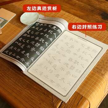 一海堂 文化宣纸 初学者入门同步描摹历史名家书法练习控笔训练学生零基础毛笔字帖 书法临摹白描上中册三本