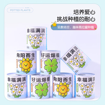 Touch Fish罐装小盆栽桌面种植易拉罐头植物小学生科学实验礼物奖品好运爆棚（幸运草）亲子DIY